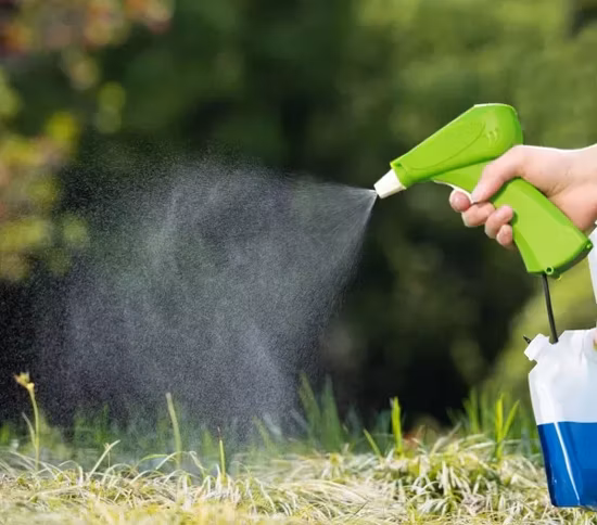 Pompa elettrica manuale manuale da 4/4,2/4,8 galloni Batteria al litio al piombo-acido Drone agricolo Pulverizador Spruzzatore per l'irrigazione del prato del giardino